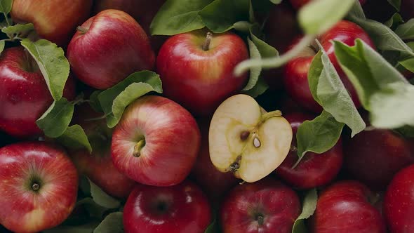 Delicious Red Natural Apples with Many Leaves Falling From Above