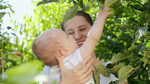 Smiling Mother with Baby Son Picking Ripe Green Apples in Orchard