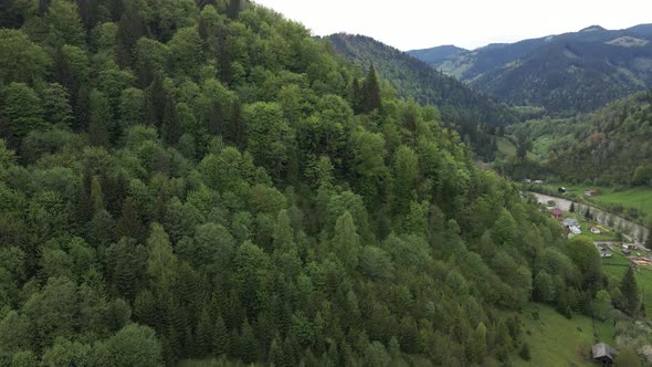 Ukraine, Carpathians: Forest Landscape. Aerial View.