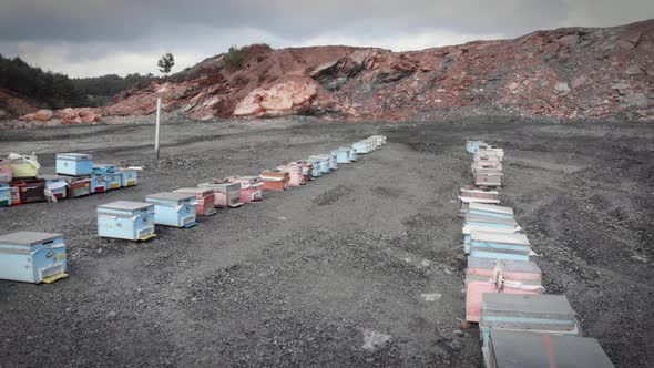 Apiary on field. Wooden bee hives at bee farm. 