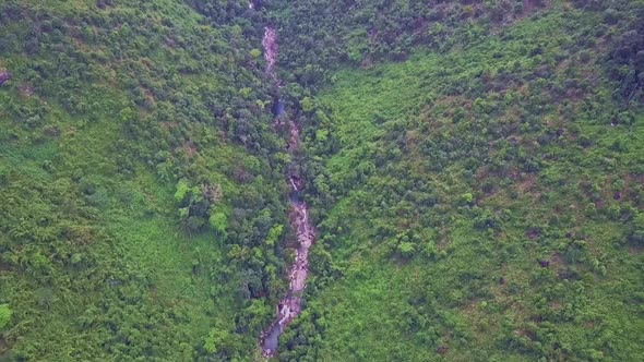 High Aerial View Mountain Gorge with Stream Among Jungle