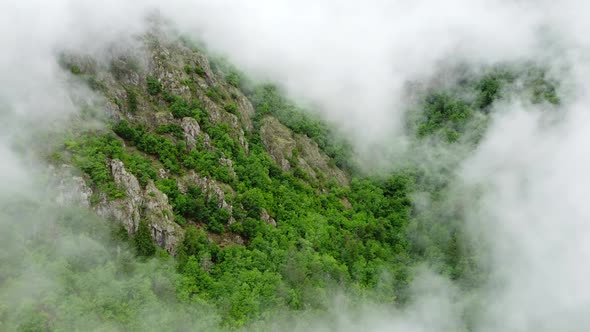 Beautiful Magical Clouds in Mountain Forest