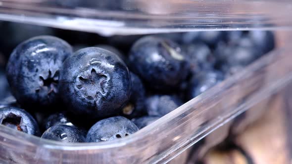 Close Up of Fresh Blue Berry with Water Drops .