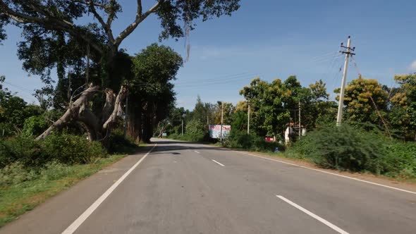 Trees on both sides of road, Empty road