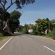 Trees on both sides of road, Empty road - VideoHive Item for Sale