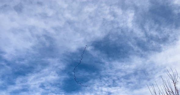 Geese fly above against a partly cloudy sky.