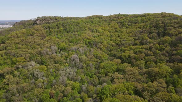 View of lush green forest on the side of a mountain with bright blue sky. Craggy rock ridge on side.