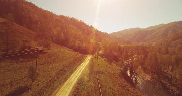 Mid Air Flight Over Fresh Mountain River and Meadow at Sunny Summer Morning. Rural Dirt Road Below