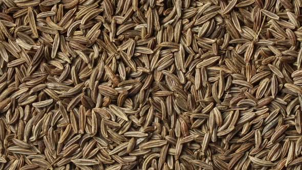 Dried Caraway seeds close up full frame 