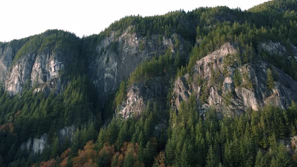 Orbiting Aerial Of Massive Mountain Cliffs In Thick Evergreen Forest Trees