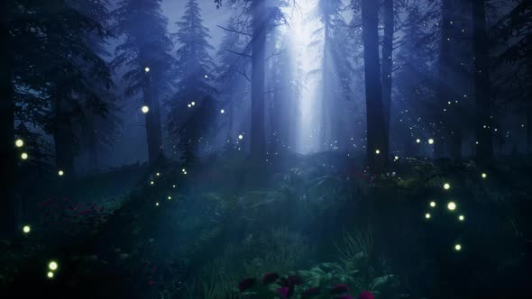 Fireflies in a magical forest HD