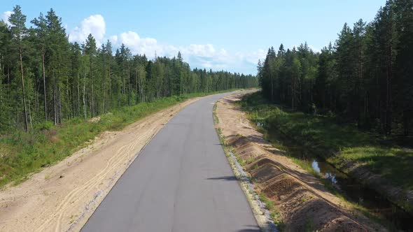 Asphalt Road Through Pine Forest