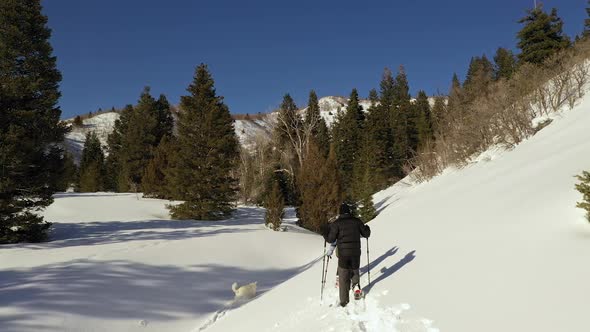 Two people snowshoeing with their dog on sunny day