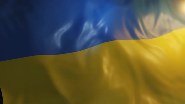 Ukraine Flag