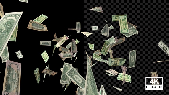 Flying Dollars V6 alt