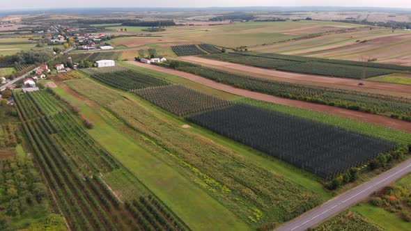 Apple Orchard and Countryside