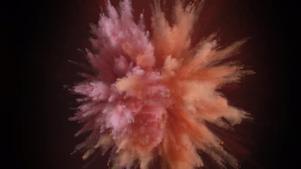 Colorful powder/particles fly after being exploded against black background. Slow Motion. alt