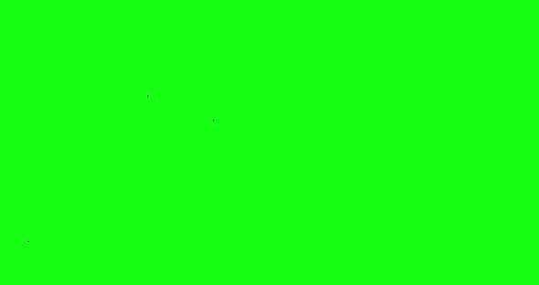 Pre keyed Pack of 7 Flock of crows isolated on green screen chroma key background