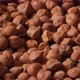 Brown Chickpea Grains Closeup - VideoHive Item for Sale