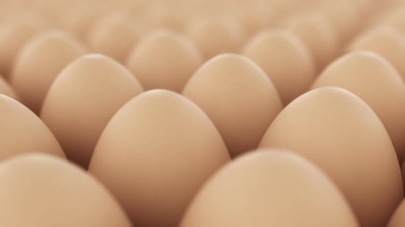 Endless animation of the natural chicken's eggs infinite array. Loopable. HD