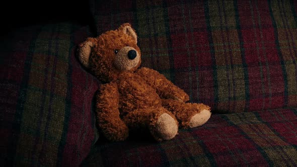 Passing Teddy Bear On Sofa