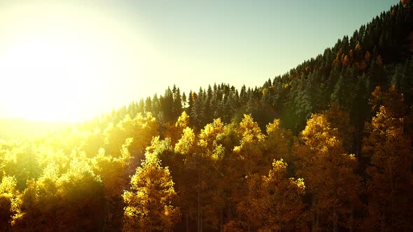 Bright Sunset in the Mountains