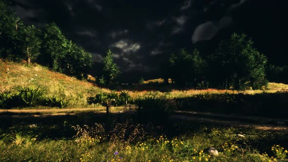 Thunderstorm Clouds with Lightning in Green Meadow