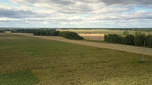 Aerial View Green and Yellow Wheat Fields Against Forest