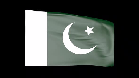 Pakistani Flag Alpha