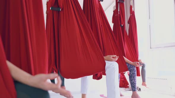 Meditating Women Sit in Comfortable Fly Yoga Hammocks