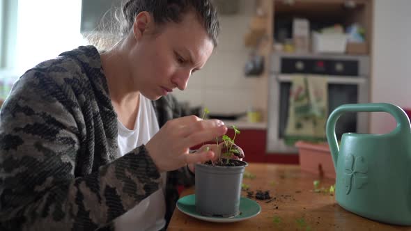 Portrait of a Woman Planting Seedlings in a Flower Pot