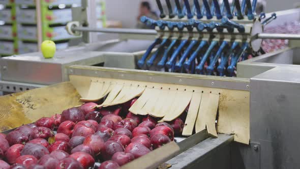 Red Apples on the Line By Sampling Apples