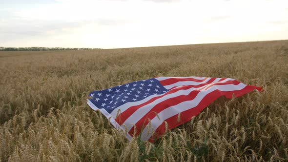 Big Usa Flag Lies on the Ears of Wheat in the Field