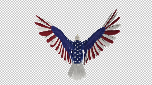 American Eagle - USA Flag - Flying Transition - VI alt