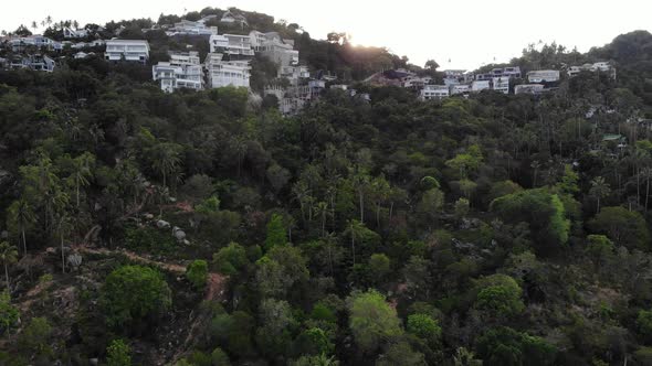 Tropical Terrain Covered with Endangered Forests and Luxury Villas. Drone View of Large Tropics