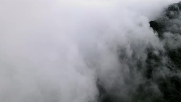 Aerial view white cloud cover green rainforest