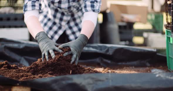 Gardener Examining Soil in Hands