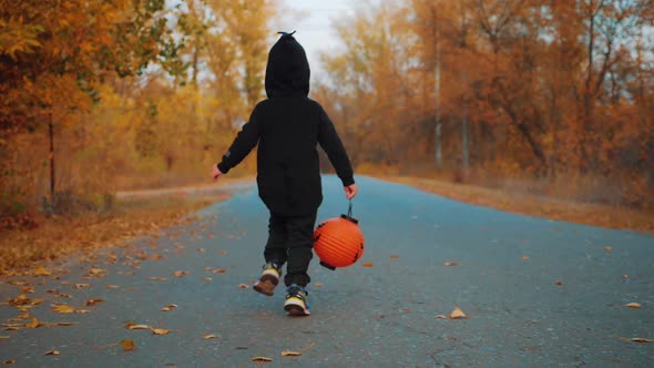 Boy Holding in Hands a Halloween Pumpkin in Dark Autumn Forest. Halloween Holiday Concept.