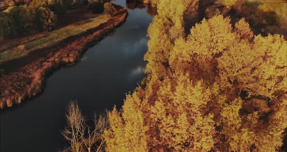 Quadrocopter Flies Over Autumn Trees and Lake Countryside