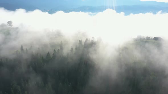 Morning Mountain Village Covered With The Clouds