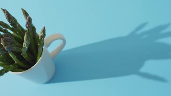 Video of fresh asparagus in white cup with copy space over blue background