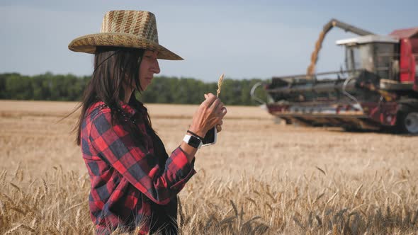 Young Woman Farmer in Hat Standing Against the Background of a Working Combine Harvester at Sunset