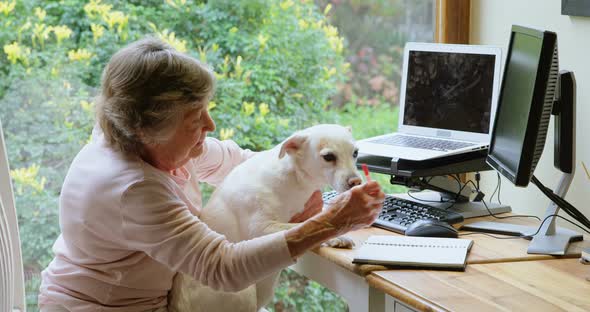 Senior woman playing with her dog 