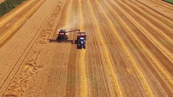 Drone aerial of wheat harvesting.