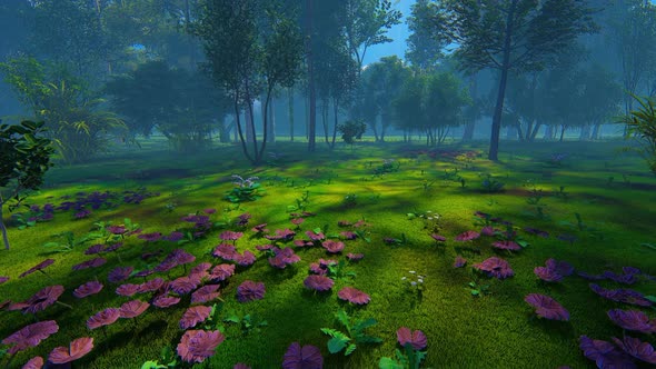 Epic Forest Backward 2K