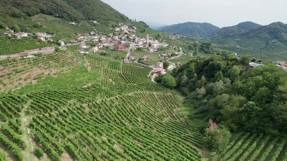 Aerial View of Vineyard Fields on the Hills in Italy Growing Rows of Grapes