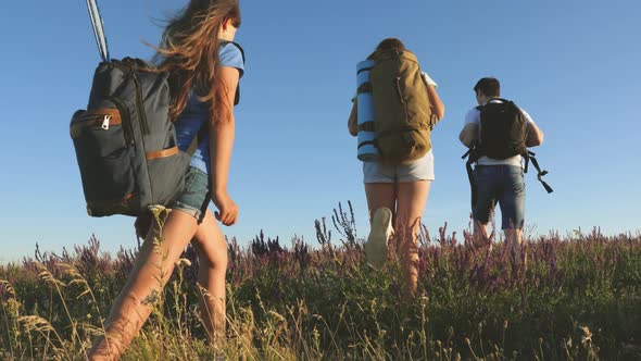 Teamwork of Tourists. Travelers Go with Backpacks Through the Meadow. Family of Tourists with