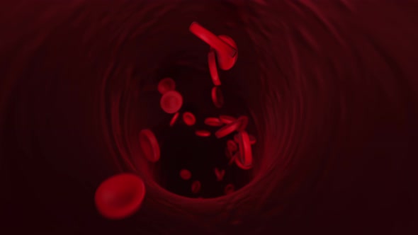 Red blood cells in the vessels