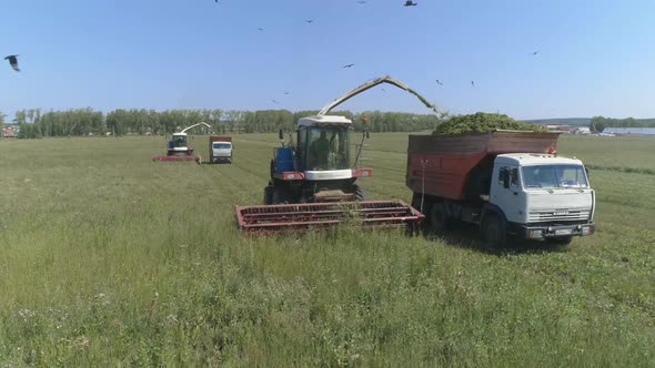 Drone view of Combines harvesting and trucks on wheat field. 05