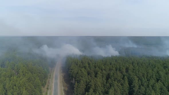 Aerial view of Forest fire 02